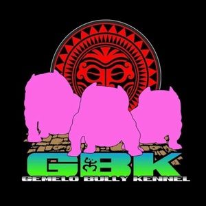 Meet your Posher, Gemelo